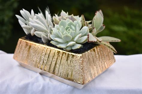 Live Succulent Arrangement In A Gold Planter Perfect T Etsy