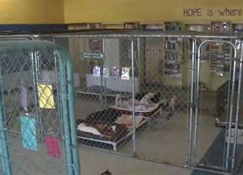 Tucsons Only No Kill Shelter Struggles To Keep The Lights On