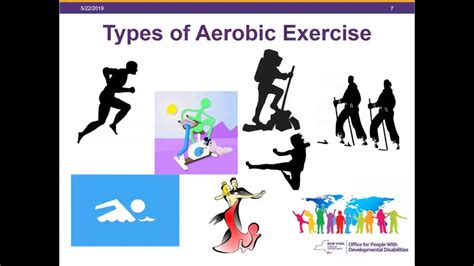 5 Different Types Of Exercise Spesial 5