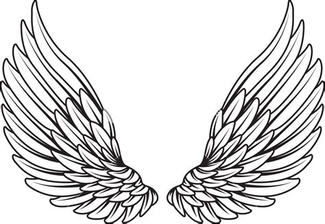 Angel Wings Vector Png At Vectorified Com Collection Of Angel Wings