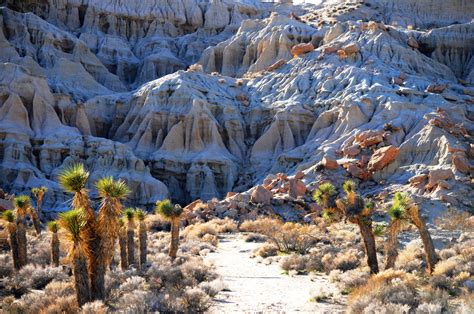 Red Rock Canyon Free Stock Photo Public Domain Pictures