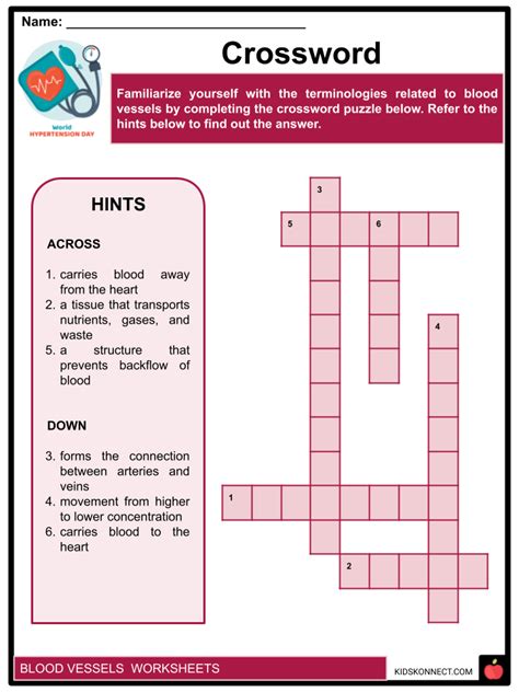 Blood Vessels Facts And Worksheets Types Flow Care