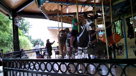 Avery On Carousel At Akron Zoo Youtube