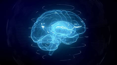 Futuristic Blue Digital Brain Seamless Loop Stock Motion Graphics Sbv