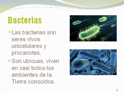 Bacterias Definición Y Clases