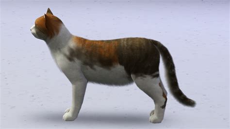 Calico Cat Sims 4 Cc Vastdragon
