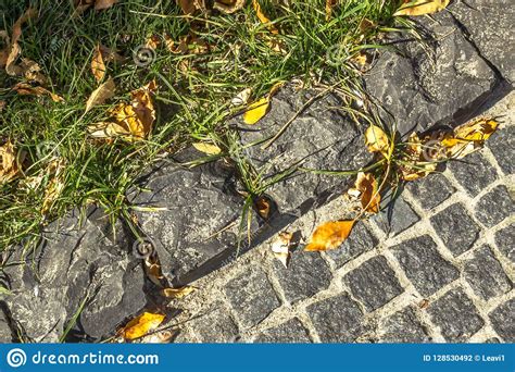 Colorful Dry Leaves On The Pavement Stock Photo Image Of Asphalt