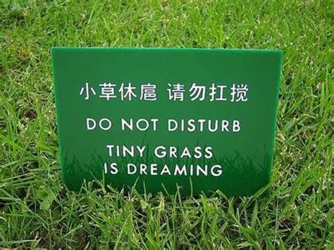 10 Times Funny Chinese Translation Fails Made Us Laugh Hard