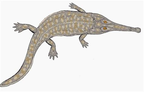 Florian witzmann1and elizabeth archegosaurus decheni has been known to the scientiﬁc. Fossil Baramins on Noah's Ark: The "Amphibians" | Answers in Genesis