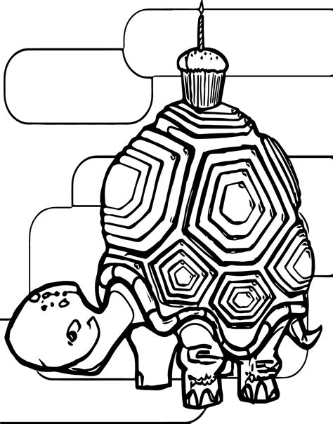 Delicious Tortoise Turtle Coloring Page Wecoloringpage Com