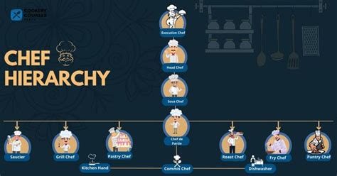 The Chef Hierarchy In The Kitchen Types Of Chef Levels