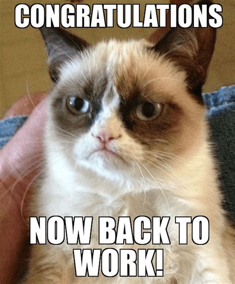 71 Funny Congratulations Memes To Celebrate Success Grumpy Cat Humor