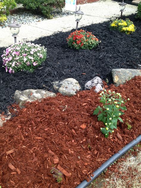 Different Color Mulch By Ally G Mulch Landscaping Easy Landscaping