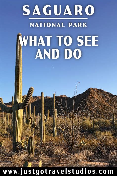 Saguaro National Park What To See And Do National Parks Arizona