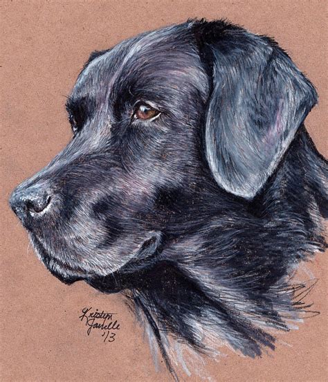 How To Draw A Black Lab Face Salma Willis