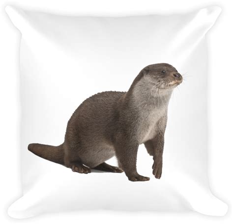 Otters Png Isolated Photo Png Mart