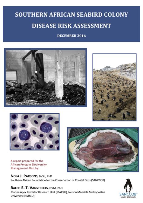 Pdf Southern African Seabird Colony Disease Risk Assessment