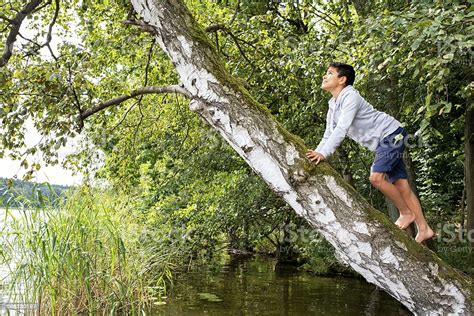 Teenage Boy Climbing Up Tree Stock Photo Download Image