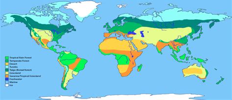 Global Biomes Gcse Geography B Edexcel Revision Study Rocket