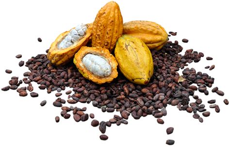 Cacaos Download Transparent Png Image Png Arts