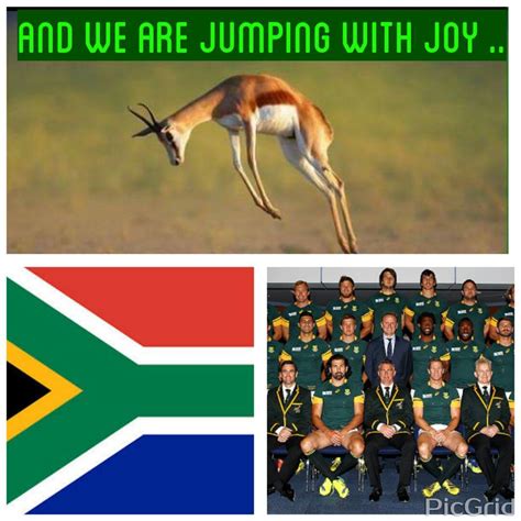 Fantastic Bokke Fans Photos Videos And Live Updates From The Match