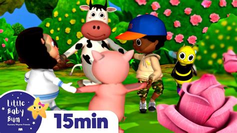 Ring Around The Rosy Nursery Rhymes And Kids Songs Little Baby Bum