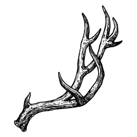 Deer Antler Tattoos Artofit