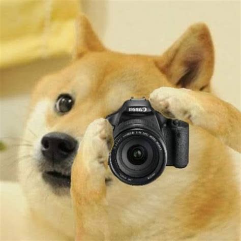 Doge Camera Blank Template Imgflip