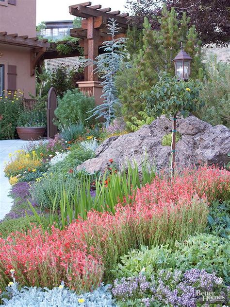 Xeriscaping Is The Latest Gardening Buzz Word—what Does It Mean