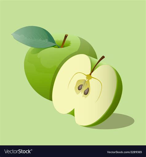 Ripe Green Apples Royalty Free Vector Image Vectorstock