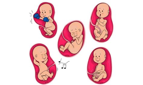 Seorang bayi lelaki meninggal dunia selepas mengalami pendarahan dan retak tulang kepala dipercayai terjatuh dari katil ketika berada di rumah pengasuhnya di paka pada sabtu. Beza Bentuk Perut Hamil Anak Lelaki Dan Perempuan ...