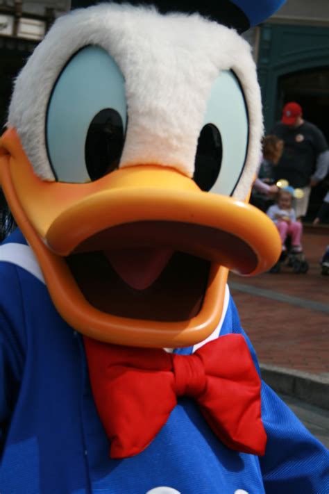 Donald Duck Disneyland Disneyland Disneylandresort Donaldduck Characters Disney Dream