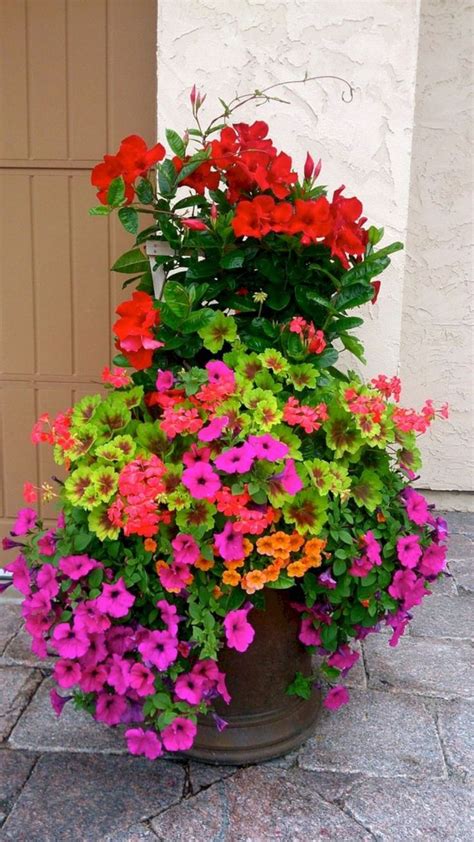 Full Sun Container Plants Ideas 26 Container Gardening Flowers Mixed