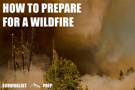 How To Prepare For A Wildfire Survivalist Prep