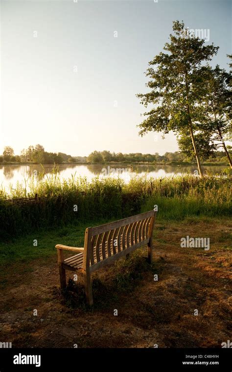 An Empty Bench Overlooking A Lake At Sunrise Lackford Lakes Suffolk