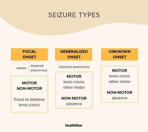 Types Of Seizures How To Tell Them Apart And Giving First Aid