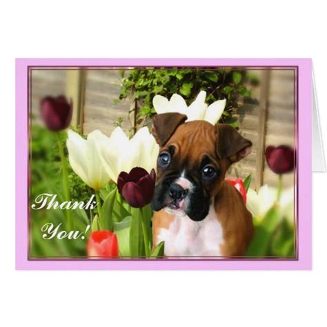 Thank You Boxer Puppy Greeting Card Zazzle