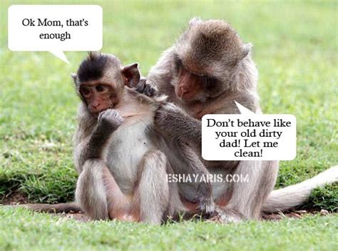 64 best animal quotes we love images. Lovely Monkey Mom - Caring Animals | E-Shayaris | Funny ...