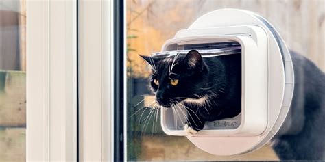 Alibaba.com offers 2,031 microchip pet feeder products. Sure Petcare Microchip Pet Door Connect | Australian Cat Lover