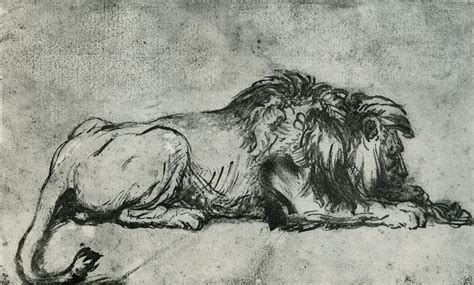 rembrandt lion resting