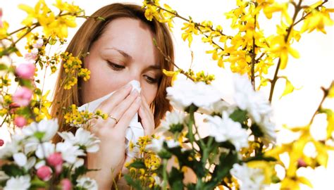 Cat allergies can cause an acute asthma attack and can be a trigger for chronic asthma. Spring Allergies - 6 Ways to Stay Away from Them