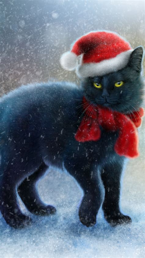 Black Cat Christmas Wallpapers Top Free Black Cat Christmas