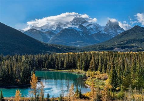 1920x1080px 1080p Free Download Canadian Rocky Mountains Forest
