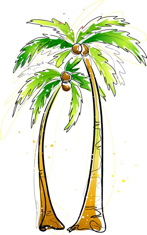Svg Transparent Stock Arecaceae Coconut Illustration Pohon Kelapa