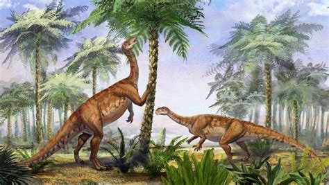 Fossils Of New Herbivorous Dinosaur Found In China