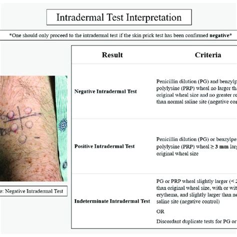 Suggested Components Of A Penicillin Allergy Skin Test Kit Download