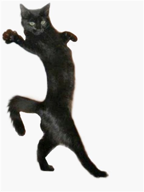 Funny Cat Walking Memes Animal Sticker For Sale By Pusla Redbubble