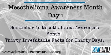 Mesothelioma Awareness Month Thirty Irrefutable Asbestos And