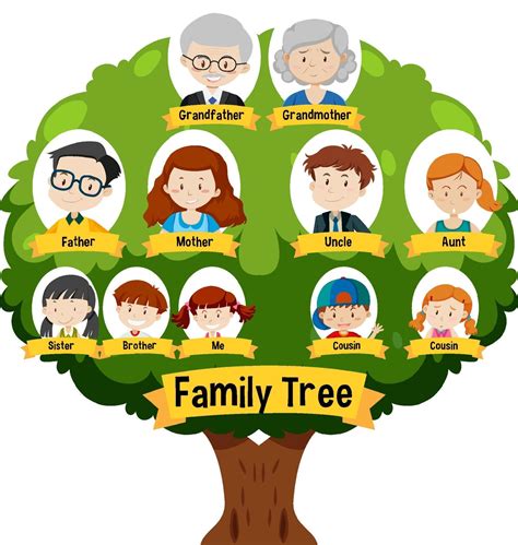 Arbol Genealogico Dibujo De Un Arbol Genealogico Escola Tree Templates