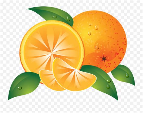 Pin By Hopeless Orange Pngclementine Png Free Transparent Png
